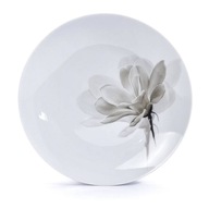 JEDÁLNY TANIER, dekoratívne biele porcelánové taniere JEDÁLNY TANIER, dekoratívne biele porcelánové taniere