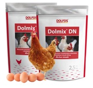 Dolmix DN Dolfos vitamínová a minerálna zmes pre nosnice 5kg Dolmix DN Dolfos vitamínová a minerálna zmes pre nosnice 5kg