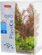 Zolux Dekorácia rastlín PLANTKIT IDRO model 1 Zolux Dekorácia rastlín PLANTKIT IDRO model 1