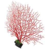 Dekoratívny tanier Sashimi Coral Dekoratívny tanier Sashimi Coral