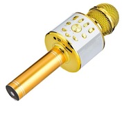 HLASITÝ KARAOKE MIKROFÓN S DMX ECHO LED SVETLAMI HLASITÝ KARAOKE MIKROFÓN S DMX ECHO LED SVETLAMI