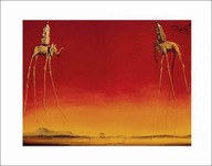 Salvador Dalí - Slony - prémiový plagát Salvador Dalí - Slony - prémiový plagát