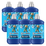 Coccolino Parfum & Care opláchnutie tekutiny Passion Flower & Bergamot 6x1.6L Coccolino Parfum & Care opláchnutie tekutiny Passion Flower & Bergamot 6x1.6L
