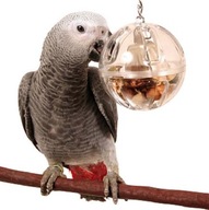 ParrotPlanet Bufetová loptička so zvončekom pre papagáje