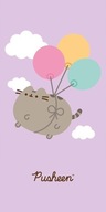 PUSHEEN CAT PLÁŽOVÝ OTERÁK 70x140 THE CAT BAZÉN 100% BAVLNA ORIGINÁL PUSHEEN CAT PLÁŽOVÝ OTERÁK 70x140 THE CAT BAZÉN 100% BAVLNA ORIGINÁL