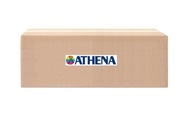 Valčeky variátora ATHENA S41000030P031