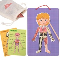 Tooky Drevené puzzle Montessori magnetické učenie ľudskej anatómie Tooky Drevené puzzle Montessori magnetické učenie ľudskej anatómie
