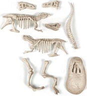 Skameneliny pre deti T-REX SCIENTIFIC FUN Skameneliny pre deti T-REX SCIENTIFIC FUN