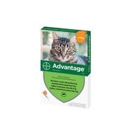 BAYER ADVANTAGE Kvapky proti blchám pre mačky 0,4ml, 1 kus