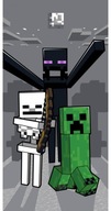 MINECRAFT Froté plážová osuška 70x140 MINECRAFT Froté plážová osuška 70x140