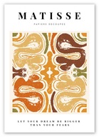 BOHO MATISSE MODERNÝ PLAGÁT B2 50x70cm #W86 BOHO MATISSE MODERNÝ PLAGÁT B2 50x70cm #W86
