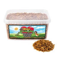 Bite & Delight Sušené múčne červy - Univerzálne krmivo - 5 l Bite & Delight Sušené múčne červy - Univerzálne krmivo - 5 l