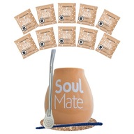 Yerba Soul Mate Set 500g 10x50g Bombilla Tekvica