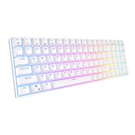 Mechanická klávesnica RK100 100% hnedá RGB biela Hot Swap Mechanická klávesnica RK100 100% hnedá RGB biela Hot Swap