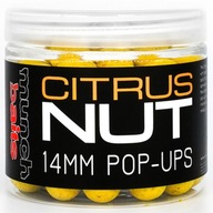 Pop Up Munch Baits Citrus Nut 18mm plávajúce guličky