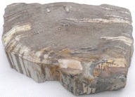 Kamenná miska na mydlo skamenené drevo 21x15cm