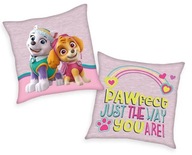 VANKÚŠ PAW PATROL SKYE EVEREST MŠ JASIEK VANKÚŠ PAW PATROL SKYE EVEREST MŠ JASIEK