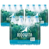 RODOWITA minerálna voda neperlivá 36x 0,6 l RODOWITA minerálna voda neperlivá 36x 0,6 l