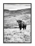 OBRAZOVÝ PLAGÁT V RÁME 33x43 cm Highlander P1399 OBRAZOVÝ PLAGÁT V RÁME 33x43 cm Highlander P1399