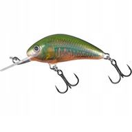 WOBLER SALMO H2S HOLOGRAPHIC OIKAWA WOBLER SALMO H2S HOLOGRAPHIC OIKAWA