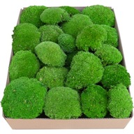 Vankúš Moss PREMIUM Medium Green Kartón 0,12 m2
