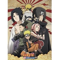 NARUTO SHIPPUDEN PLAGÁT SHIPPUDEN GROUP #2 (528)