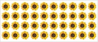 Sada fóliových nálepiek FLOWERS-SUNFLOWERS Sada fóliových nálepiek FLOWERS-SUNFLOWERS