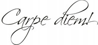 Nápis na stene: chop sa momentu - Carpe diem - 94 Nápis na stene: chop sa momentu - Carpe diem - 94