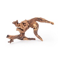 Koreň pre akvárium Desert M 25-30cm Prírodná dekorácia Koreň pre akvárium Desert M 25-30cm Prírodná dekorácia