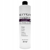 BE COLOR NO YELLOW ŠAMPÓN ODSTRAŇUJE ŽLTÉ TÓNY 500 ml BE COLOR NO YELLOW ŠAMPÓN ODSTRAŇUJE ŽLTÉ TÓNY 500 ml