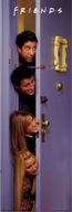 Originál plagát Friends Door 53x158 cm Originál plagát Friends Door 53x158 cm