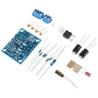 Hot LM1875T PCB Mono Boom Power Level 30W doska Hot LM1875T PCB Mono Boom Power Level 30W doska