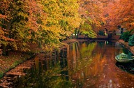 Jazero v lese, jeseň, fototapeta les 175x115 cm