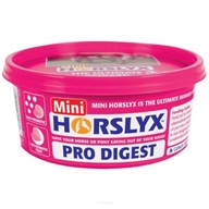 Ochutená Lizawka Vitamíny Minerálne doplnky Horse Horslyx Pro Digest 650 g