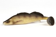 WESTIN ZANDER TEEZ ZANDEROVÁ GUMA - 17,0 cm WESTIN ZANDER TEEZ ZANDEROVÁ GUMA - 17,0 cm