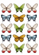 Potlač cukrovej pasty na tortu BOTTERFLY, sada MOTÝLIKY Potlač cukrovej pasty na tortu BOTTERFLY, sada MOTÝLIKY