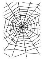 SPIDER WEB SPIDER HALLOWEEN