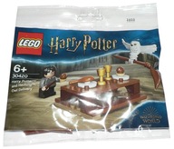 Lego 30420 - Harry Potter Harry a Hedviga!