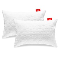 ANTALERGICKÝ VANKÚŠ 2x40x60cm SET NA SPANIE, PREŠÍVANÝ, BIELY Z POĽSKA ANTALERGICKÝ VANKÚŠ 2x40x60cm SET NA SPANIE, PREŠÍVANÝ, BIELY Z POĽSKA
