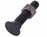 Sada skrutiek nesený pluh D 608 M16x100 mm trieda 10,9 Waryński 10 ks Sada skrutiek nesený pluh D 608 M16x100 mm trieda 10,9 Waryński 10 ks