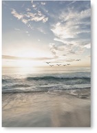 Plagátový obraz BEACH BIRDS B2 50x70cm #115 Plagátový obraz BEACH BIRDS B2 50x70cm #115