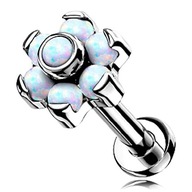 LABRET OPÁLOVÝ NÁUŠNICE KVET 2 HELIX TITANIUM G23 1,2/6 LABRET OPÁLOVÝ NÁUŠNICE KVET 2 HELIX TITANIUM G23 1,2/6