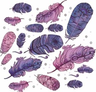 Samolepky na stenu FEATHERS 50x100 PI Samolepky na stenu FEATHERS 50x100 PI