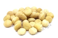 Makadamový orech, Macadamia (Style 1S) 1kg