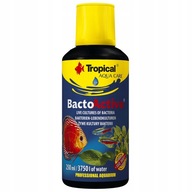 Tropický BACTO ACTIVE 250ml Tropický BACTO ACTIVE 250ml