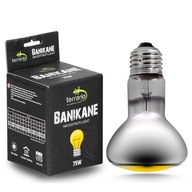 Terrario Banikane Neodymium Light - 75W neodymová výhrevná žiarovka