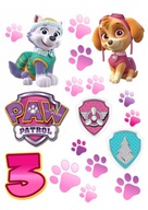 Tlač cukrovej pasty PAW Patrol Skye Everest digit Tlač cukrovej pasty PAW Patrol Skye Everest digit
