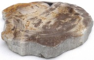 Kamenná miska na mydlo skamenené drevo 18x16cm