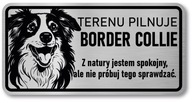 Border Collie Dog Pozornosť Sign Border Collie Dog Pozornosť Sign
