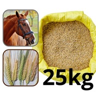 Jačmeň pre kone Grains Feed Feed Dry Pure
